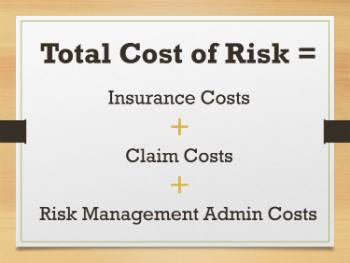 total risk management